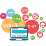 Custom Web Development